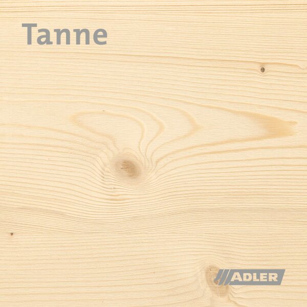 Tanne